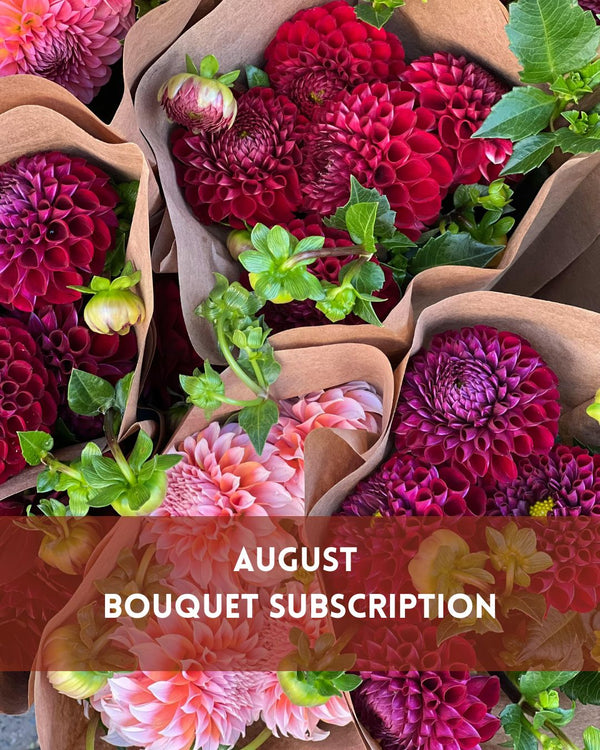 August Subscription - Four weeks of blooms