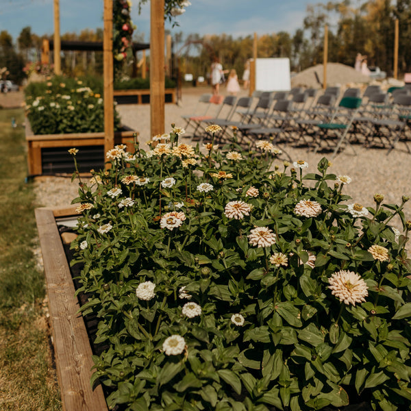 Flower Field Private Rental