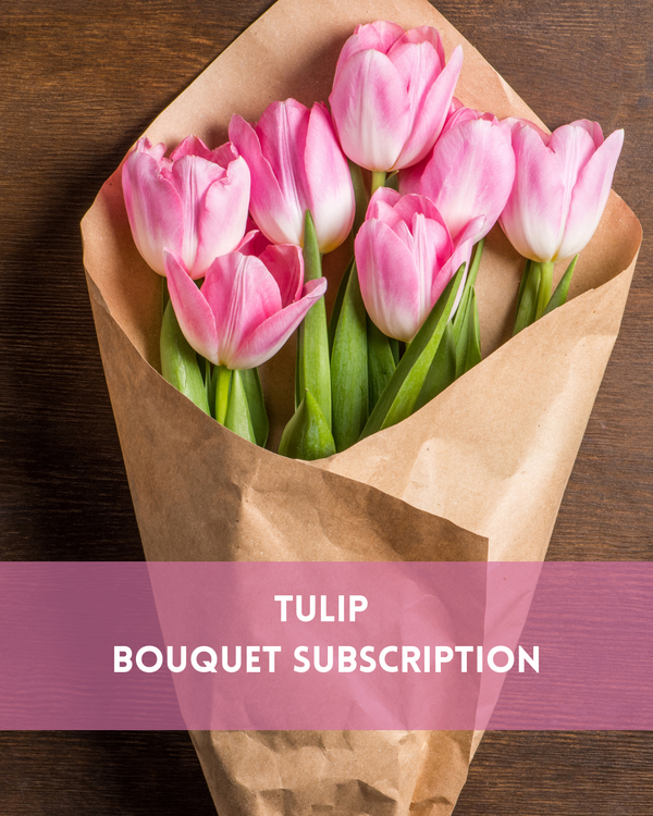 Tulip Subscription