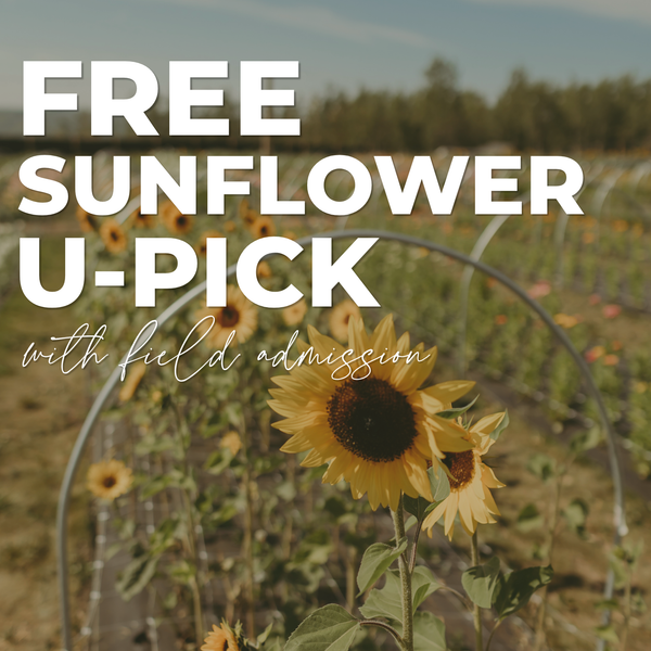 FREE Sunflower U-Pick
