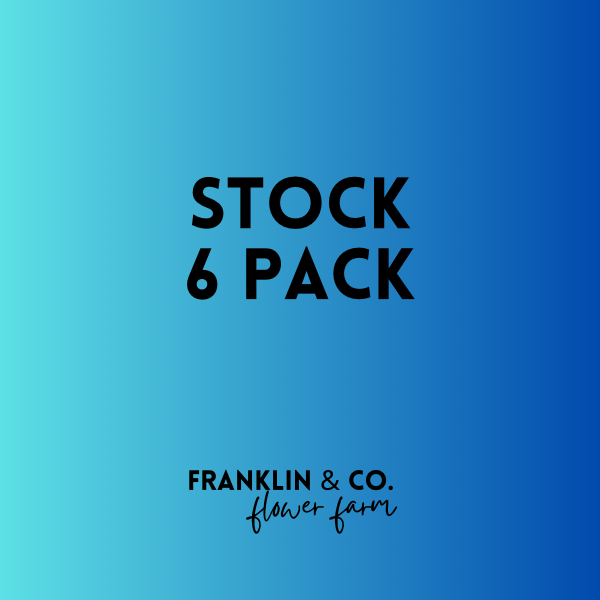 Stock - 6 Pack