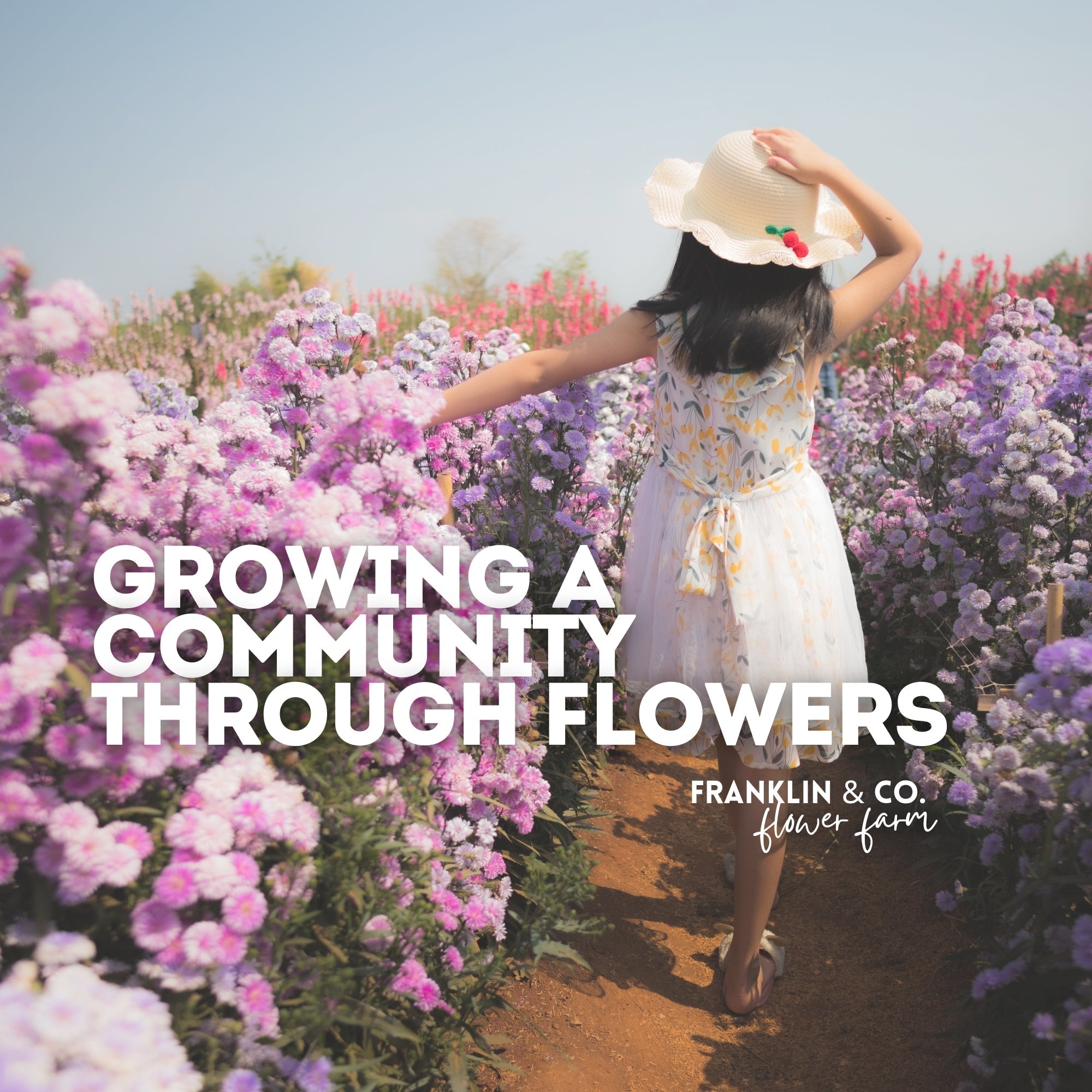 Growing a Community Through Flowers – Franklin & Co. Flower Farm