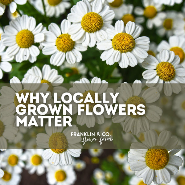 Why Locally Grown Flowers Matter