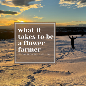 What It Takes to be a Flower Farmer: Lessons from the First Year