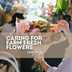 How to Care for Your Farm Fresh Flowers