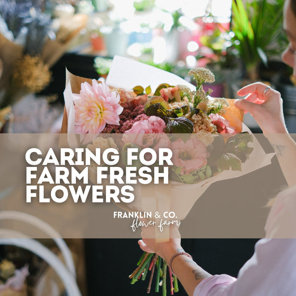 How to Care for Your Farm Fresh Flowers