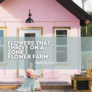 Flowers That Truly Thrive on a Zone 3 Flower Farm