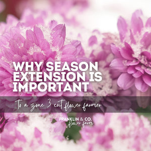 Why Season Extension is Essential for Flower Farming in Zone 3