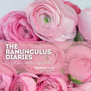 The Ranunculus Diaries: Our First Spring with These Ruffled Beauties