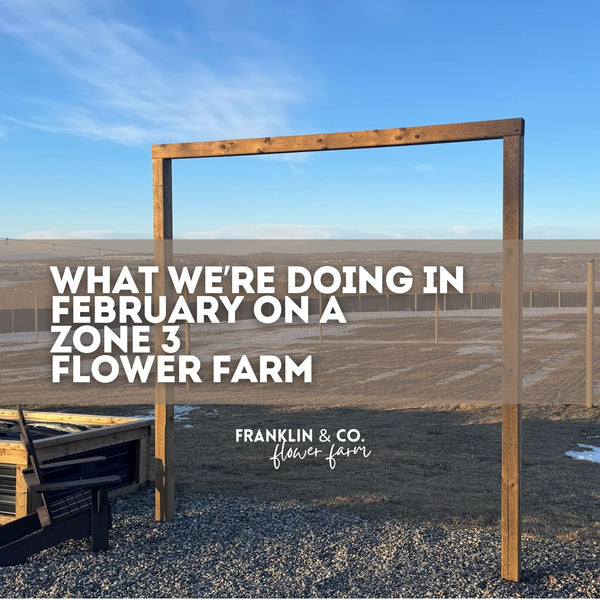 What We're Doing in February on a Zone 3 Flower Farm
