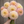 Bouquet of pastel-colored Bloomquist Blush dahlia flowers held by a hand against a wooden background
