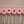 Pink Bloomquist Jody Lynn dahlias with yellow centers arranged in a row on a wooden surface