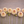 Row of light yellow Canoz Jaguar dahlias on a wooden surface