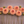 Row of peach-colored Ferncliff Copper dahlia flowers with green stems on a brown background