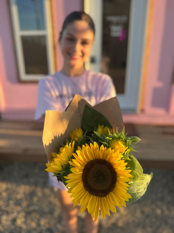 FREE Sunflower U-Pick