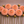 Row of peach-colored Jowey Nicky dahlia flowers on a brown background