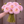 Bouquet of pink Karma Prospero dahlia flowers held by a person against a brown background