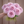 Bouquet of Misty Imagination dahlia flowers held by a person against a wooden background