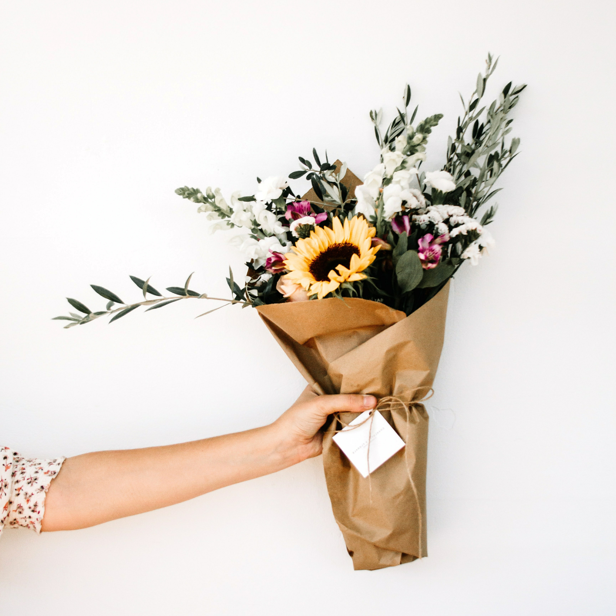 Franklin & Co. Flower Farm