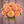 Bouquet of peach-colored Sunspot dahlia flowers held by a person against a neutral background