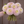 Bouquet of light pink Sweet Nathalie dahlia flowers held by a person against a brown background