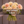 Bouquet of flowers labeled 'Sweet Suzanne 5 Pack' held by a person against a wooden background.