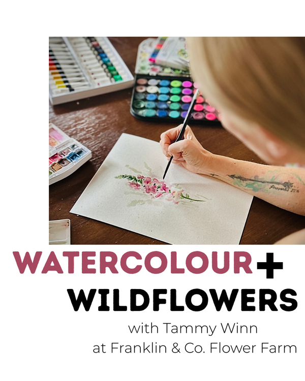 Watercolour & Wildflowers - An evening with Tammy Winn